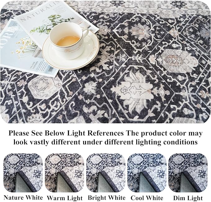 Washable 2x3 Entryway Area Rug: Vintage Soft Thin Door Mat