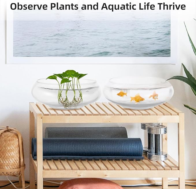 2 PCS Round Glass Vase Bowl, 6"/ 8" Wide Mouth Clear Glass Fish Bowls, Lotus Bowl, Succulent Planters, Hydroponic Planter Floral Decor Centerpieces for Home Decoration (2PCS)