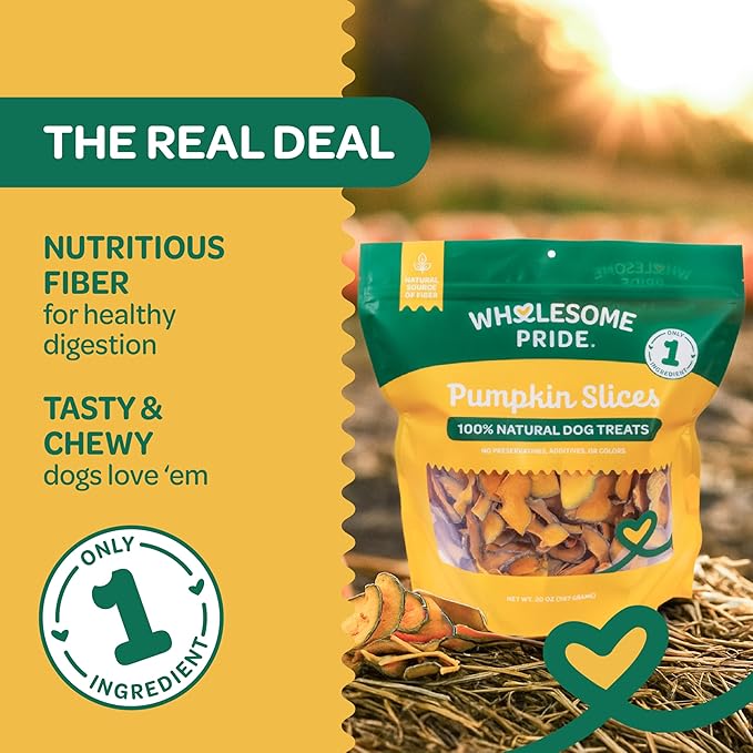 Wholesome Pride Pumpkin Slices Dog Treats – Single Ingredient, Dehydrated, All Natural, 20 oz