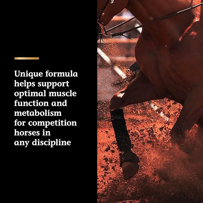 Vita Flex Pro Lactanase Pre Performance, show safe* muscle and metabolism support