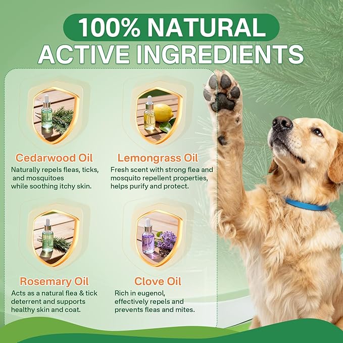 Flea and Tick Prevention for Dogs Collar 4 Pack, Natural Flea Collar for Dogs 32-Month Full Protection, Adjustable Dog Tick Prevention for Puppy & Dog, Waterproof, 2 Pink & 2 Blue