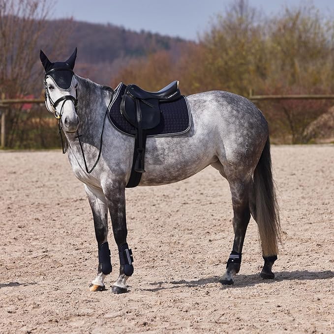 HORZE Adepto Open Front Tendon Boots | Durable Shell with Neoprene Lining - Dark Navy - Cob