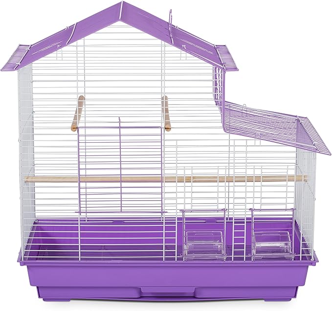 Prevue Pet Products SP41615-1 House Style Bird Cage, Small, Purple