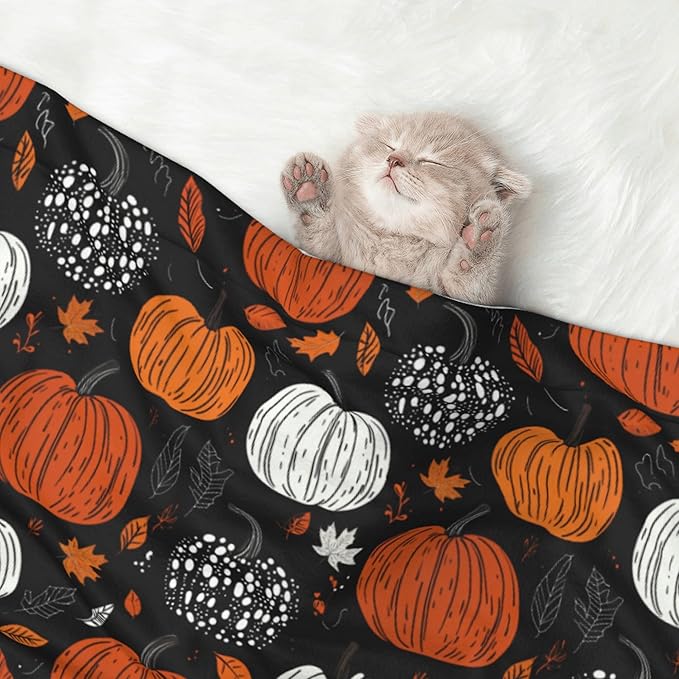 Fall Pumpkins Throw Blanket - Halloween Blanket for Dog Cat Autumn Pet Blankets 23x16 for Couch Sofa Bed