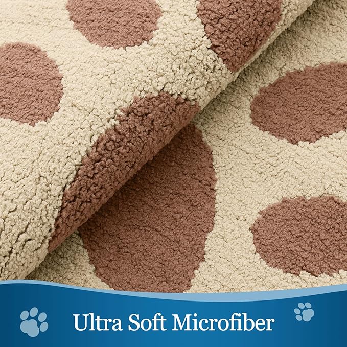 Buganda Dog Door Mat for Muddy Paws, Absorbent Dirt Trapper Washable Indoor Doormats, Non Slip Low-Profile Mud Mat for Dogs, Front Entrance Doormat for Inside Floor (30x20 Inches, Light Beige)