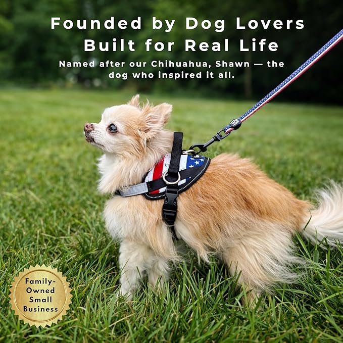 ShawnCo Essential Dog Harness, No-Pull Pet Vest with 3 Leash Clips, No Choke, Reflective, Adjustable and Padded, for Easy Walking and Training for Small, Medium and Large Dogs (Freckle's Garden, XS)