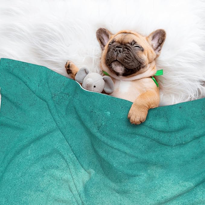 Waterproof Dog Blanket Soft Pet Blanket for Puppy Cat, Fleece Cat Throw Blankets for Furniture Bed Couch Sofa Reversible - Teal Turquoise1