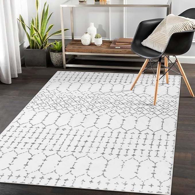 Lahome Moroccan Washable Living Room Rug 3x5 Area Rugs