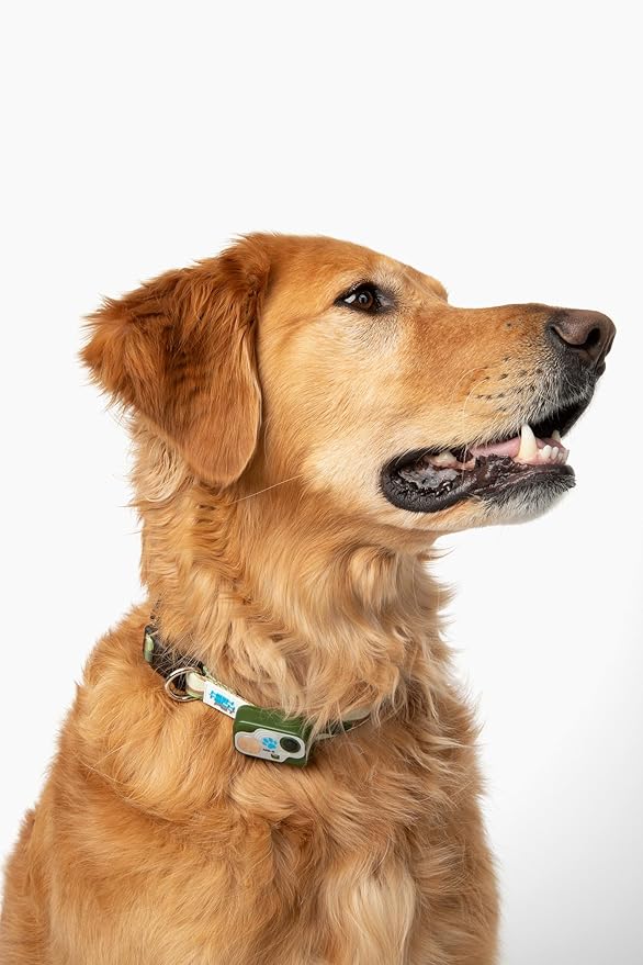 MS-5 Designer Series, Premium Performance Automatic Pet Door Collar by High Tech Pet Brand - Green/Camo Strap - Class A Battery Included - Stylish Design - Waterproof - Rugged - USA Support (Camo)