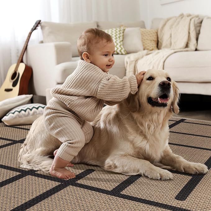 Tangsoo Modern Easy Jute Rug 4x6
