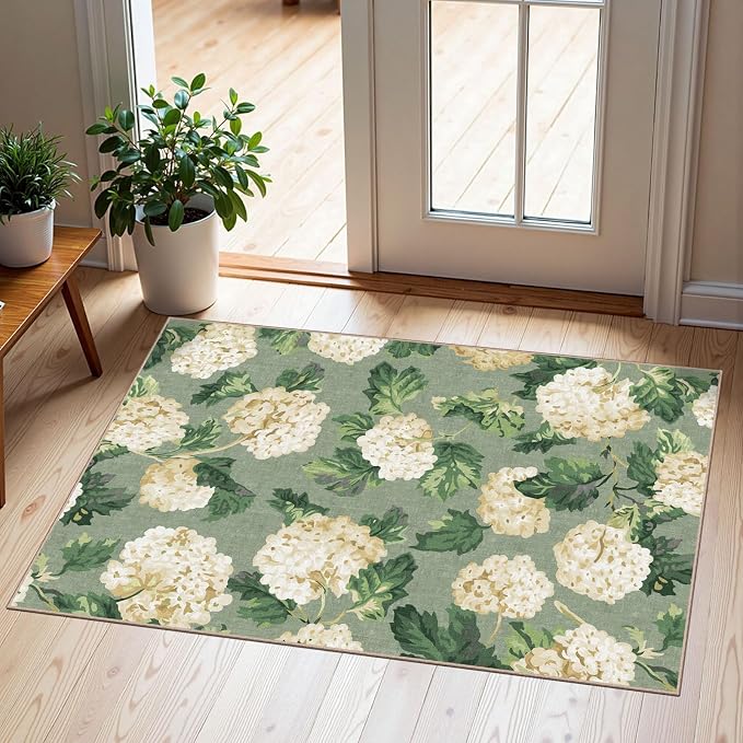 Front Door Mat Outside Entrance