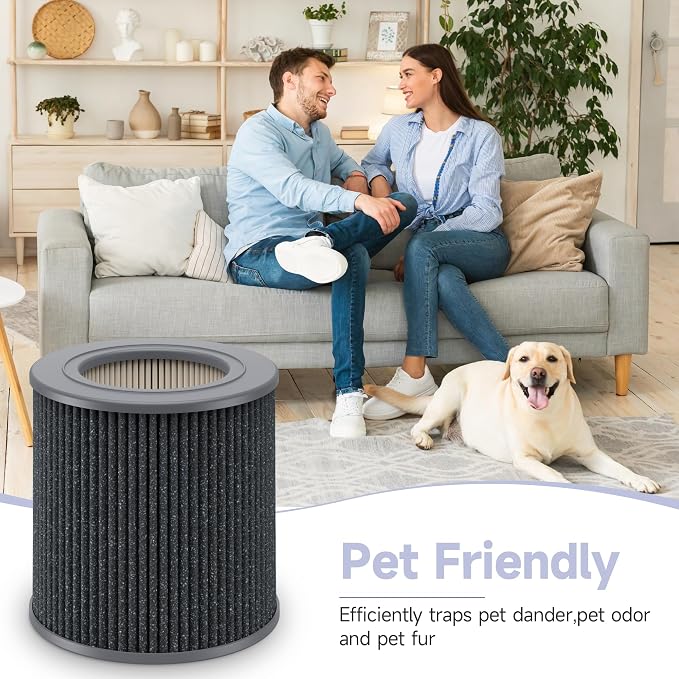 2 Pack Air Mini PECO-HEPA Replacement Filter Compatible
