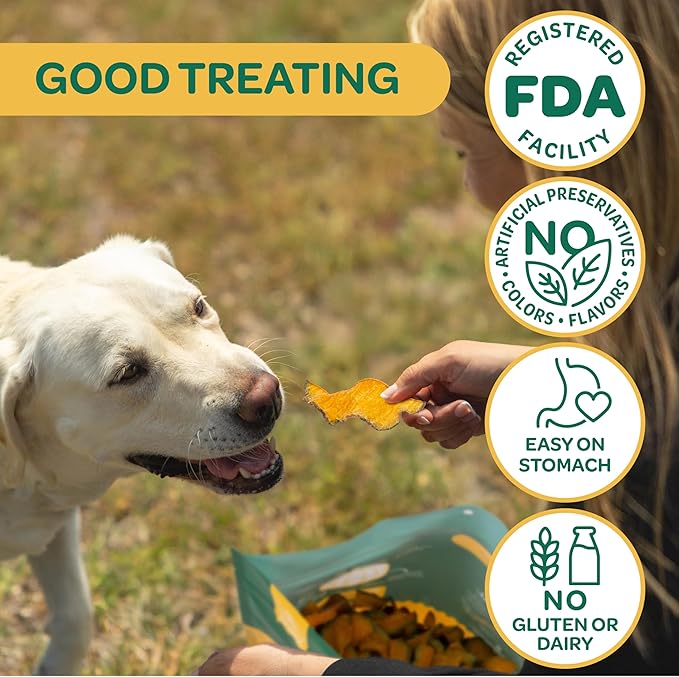 Wholesome Pride Pumpkin Slices Dog Treats – Single Ingredient, Dehydrated, All Natural, 20 oz