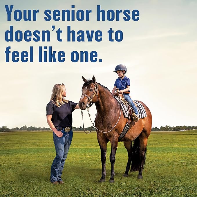 Absorbine Bute-Less Comfort & Recovery Supplement Pellets, Healthy Inflammatory Response, 5 lb / 80 Day Supply