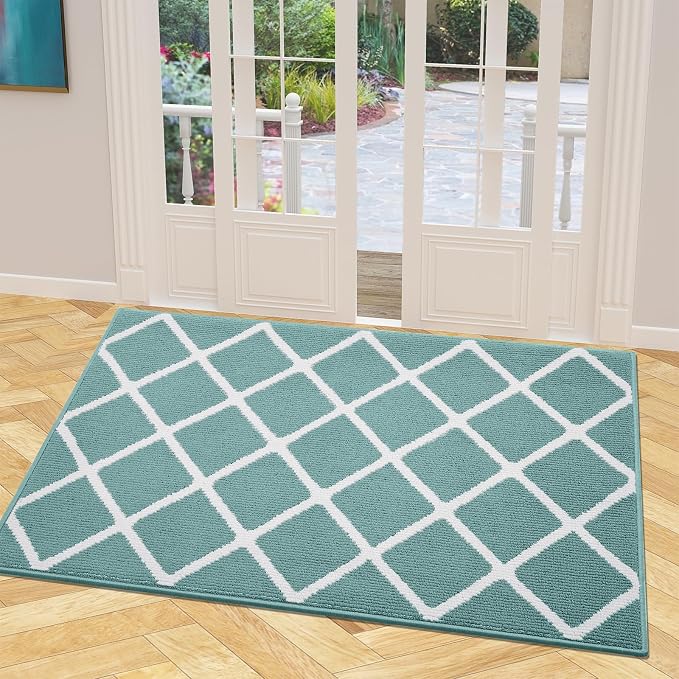 Finchitty Indoor Door Mat, Dirt Resistant and Absorbent, Low-Profile, Washable