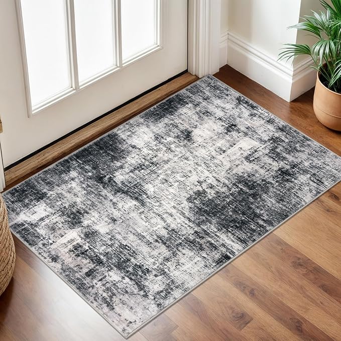 IOHOUZE Small Abstract Area Rug 2x3 Ft Entryway Rugs Washable Door Mat Indoor