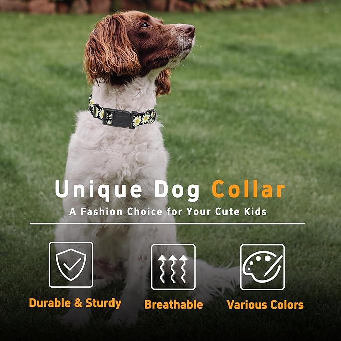Dog Collar, Daisy Boys Girls Puppy Collar for Small Medium Large Dogs, Adjustable Soft Floral Pet Collar with Safety Buckle for Male Females(Black Daisy,S)
