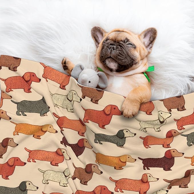 Waterproof Dog Blanket Soft Pet Blanket for Puppy Cat, Fleece Cat Throw Blankets for Furniture Bed Couch Sofa Reversible - Cartoon Dachshund Dog Woof