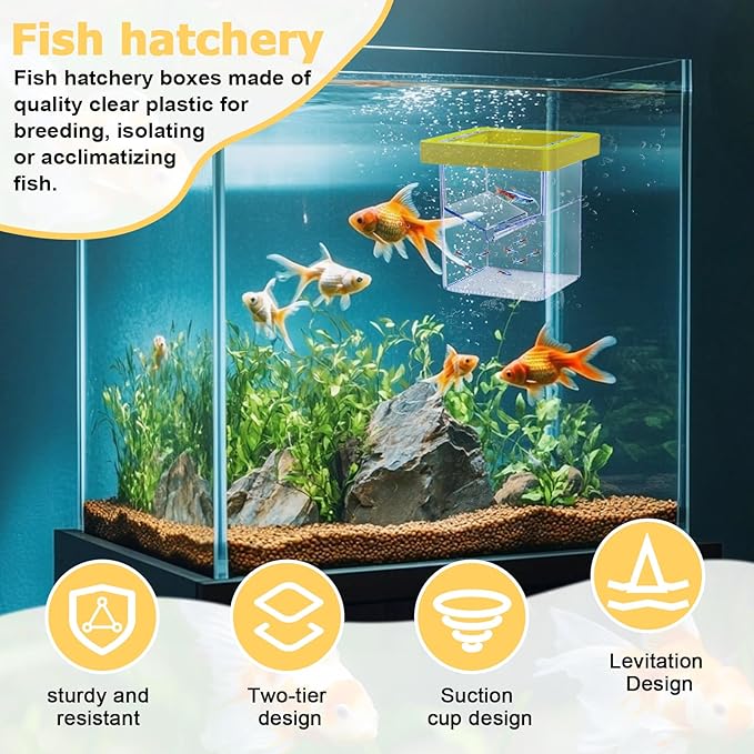 Floating Fish Breeding Isolation Box for Aquarium Tank, Acrylic Isolation Box for Baby Fish, Clownfish, Betta Eggs