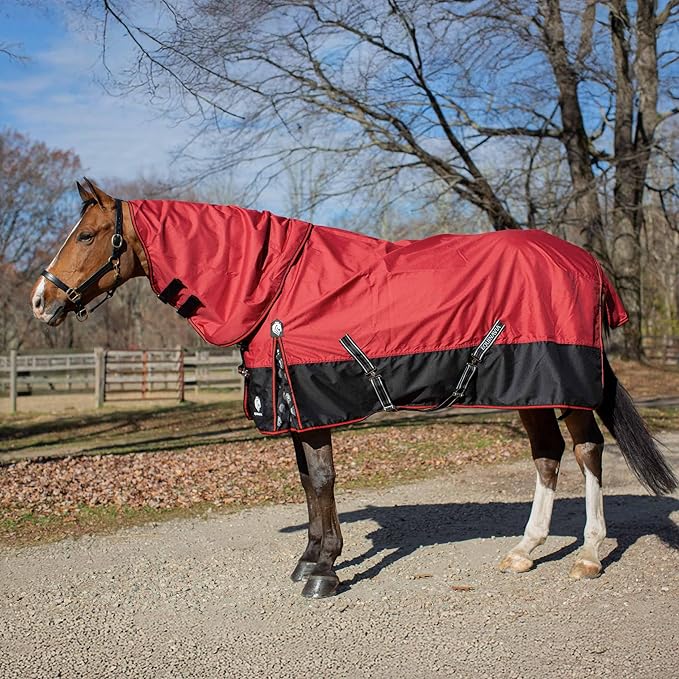Equinavia Norse Lightweight 100g Fill Horse Rain Blanket | Waterproof Turnout Sheet - Black - 66 in - Equestrian Red - 81 in