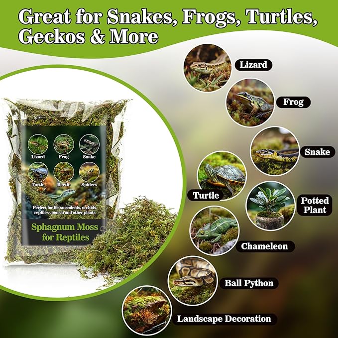Sphagnum Moss for Reptiles - 5.5 OZ Reptile Peat Moss Terrarium Bedding Reptiles Lizard Substrate for Reptile Tank, Snake, Leopard Gecko, Ball Python, Crested Gecko, Turtle, Frog, Hamster