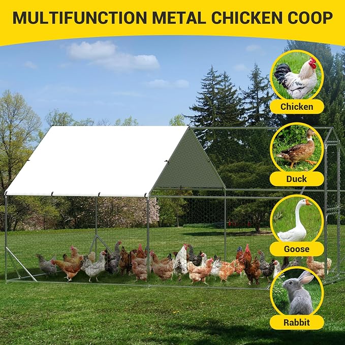 9.8X13.1x6.6FT, Large Walk in Chicken Run Pen Cage, Metal Coop Clearance