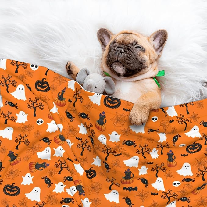 Halloween Blanket for Dog Cat - Fall Dog Blankets 23x16 Autumn Puppy Throw Blanket for Couch Sofa Bed