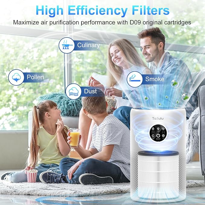Tailulu D10 Replacement Filter, Air Purifier Filter
