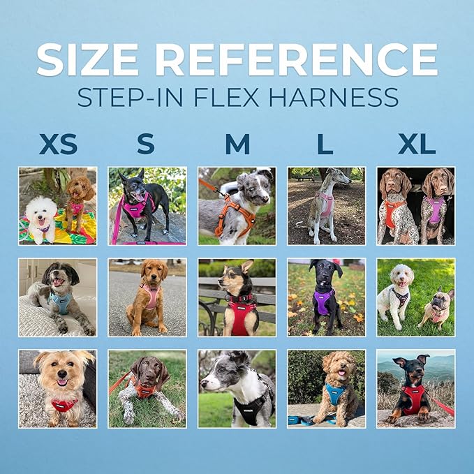 Best Pet Supplies Voyager Adjustable Step-In Flex Breathable Mesh Dog Harness for Small Medium Large Dogs (Fuchsia), XL