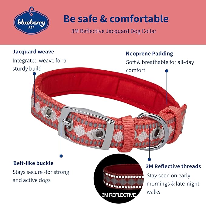 Blueberry Pet Reflective Jacquard Dog Collar with Neoprene Padding & Metal Buckle | Soft & Adjustable Safety Collar - Coral, Neck 13-16.5", for Medium Breed