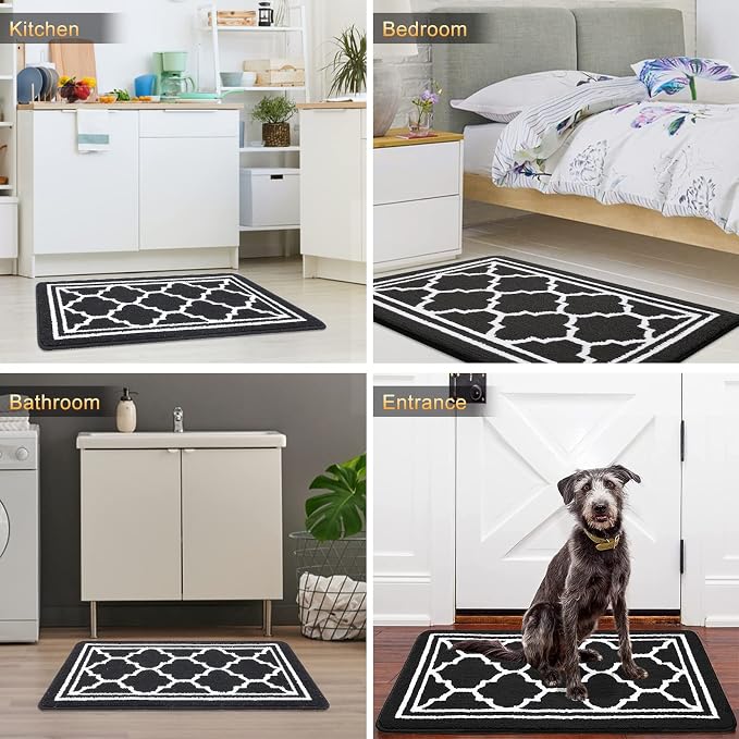 Buganda Indoor Door Mat, Dirt Resistant and Absorbent Entrance Mat, Low Profile
