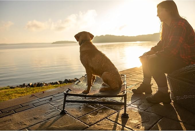 Momarsh Home Cot Breeze Elevated Pet Bed | Non Slip Feet with Breathable Mesh | Portable Dog Cot | Hot Spot Reducing | All in One Large Dog Bed for Indoor and Outdoor Use