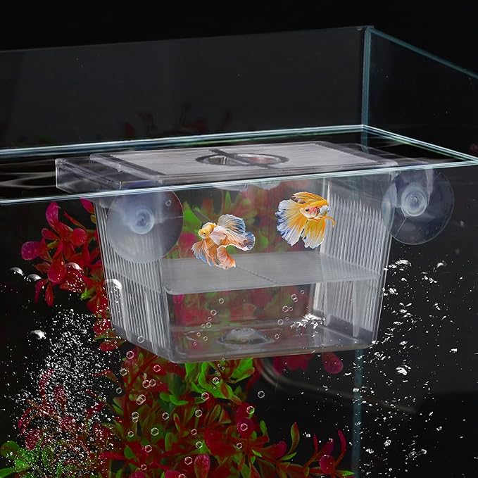 Aquarium Fish Breeder Box, Transparent Fish Breeder Tanks, Baby Fish Breeder Box with 2 Suction Cups, Partitioned Fish Hatching Box, Breeder Box for Fish Tank, Small