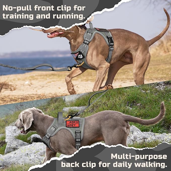 rabbitgoo Tactical Dog Harness for Small Dogs, No Pull Military Service Vest with Handle & Molle, Easy Control for Training Walking, Adjustable Reflective Straps, Dark Grey, S