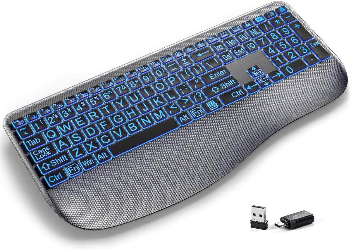 Hamile Large Print Wireless Backlit Keyboard for Windows, Gray