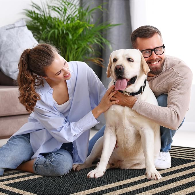 Lahome Enfys Modern Geometric Easy Jute Outdoor Rug, 5x7 Patio Living Room Rug