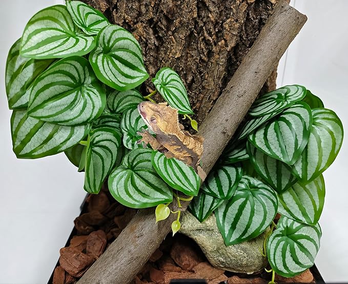 Woyrise 2 Pack Reptile Plants, Terrarium Hanging Plant Vines, Artificial Leaves with Suction Cup, Bearded Dragon Tank Accessories for Gecko Lizard Snake Frog Tortoise Decorations - Calathea Orbifolia