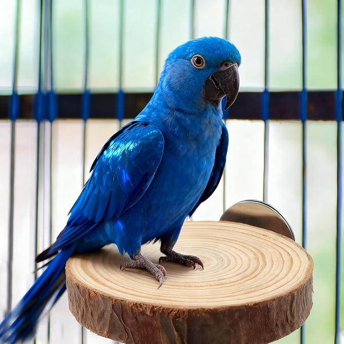Wood Bird Perch Stand for Cage, Natural Round Wooden Parrot Platform Bird Perch Bird Toy for Canary Parakeet Cockatiel Parrot Budgie Sparrow (2 Pcs, 3.3inch & 2.7inch)