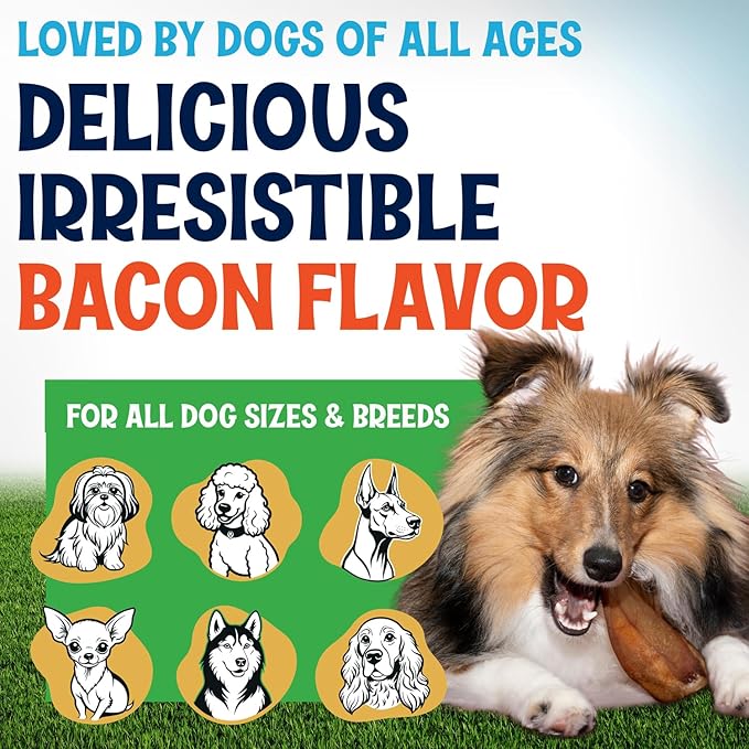 Whole Pig Ears for Dogs Large - 50 Pack Long Lasting Dog Chews – One Ingredient Delicious All Natural Flavor – Easy to Digest Dog Treats for Large Dogs - Great for Teeth and Gums