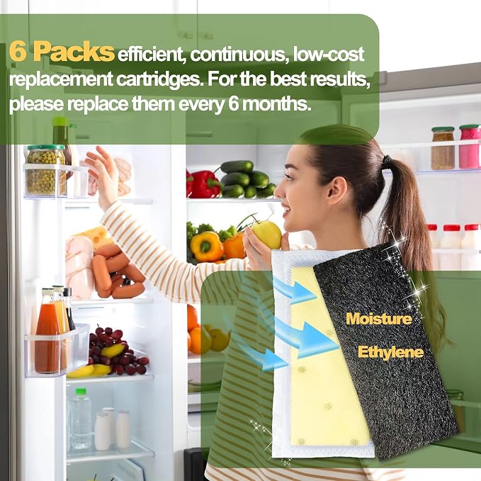 6 Pack Refrigerator Air Filter Replacements