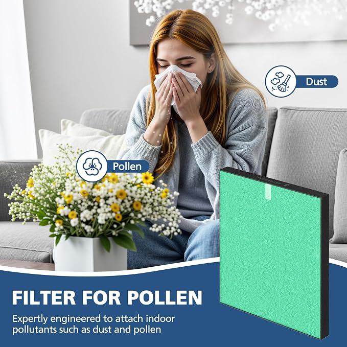 2 Pack C545 HEPA Pollen Replacement Filter S Compatible