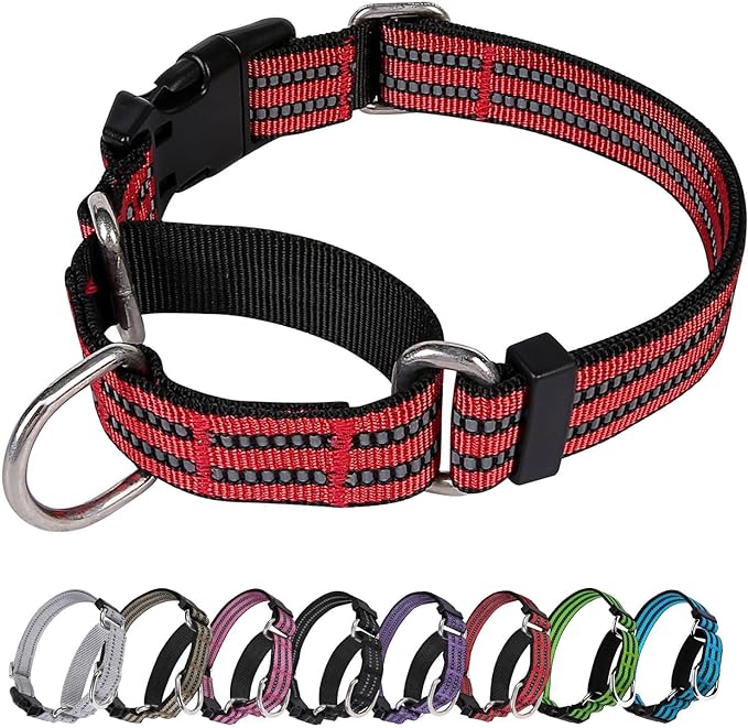 Martingale Dog Collar, Adjustable Nylon Reflective Collar with Buckle No Pull Dog Collar for Small Medium Large Dogs (Red M)