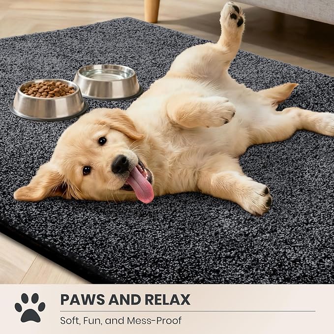 PURRUGS Easy Care Area Rug 6ft x 9ft, Non-Slip Washable Entryway Rug, Stain
