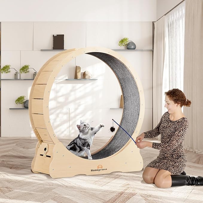 Homegroove Cat Wheel,52 inch XXL Large Cat Wheels for Indoor Cats with Carpeted Runway, Cat Exercise Wheel Treadmill for Kitty’s Longer Life (XXL, Natural Wood)