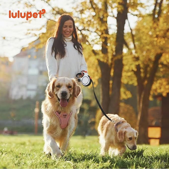 3 in 1 No Pull Dog Harness Leash and Collar Set, Soft Adjustable Dogs Vest Reflective and Comfortable Handle Pink Large