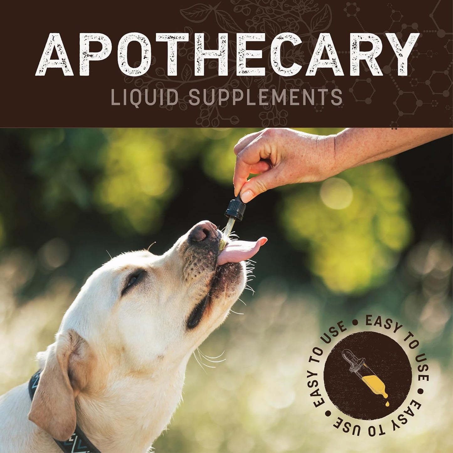 Earth Animal Herbal Remedies | Allergy and Skin | 2 fl oz
