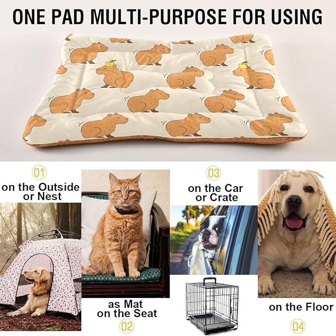 Cute Capybara Pet Bed Cute Dog Bed Mat Absorbing Non Slip Pad Pet Sleeping Mat for Small, Medium, and Large Dogs Puppy Cat 24 in x 18 in