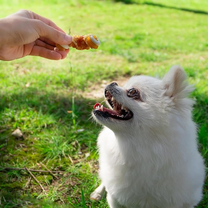 MON2SUN 2.5" Rawhide Free Dog Treats with Mixed Vegetables, Chicken Wrapped Mini Knot Bones for Small Dogs, Healthy Snacks for Balanced Nutrition, 21.2oz (Pack of 2)