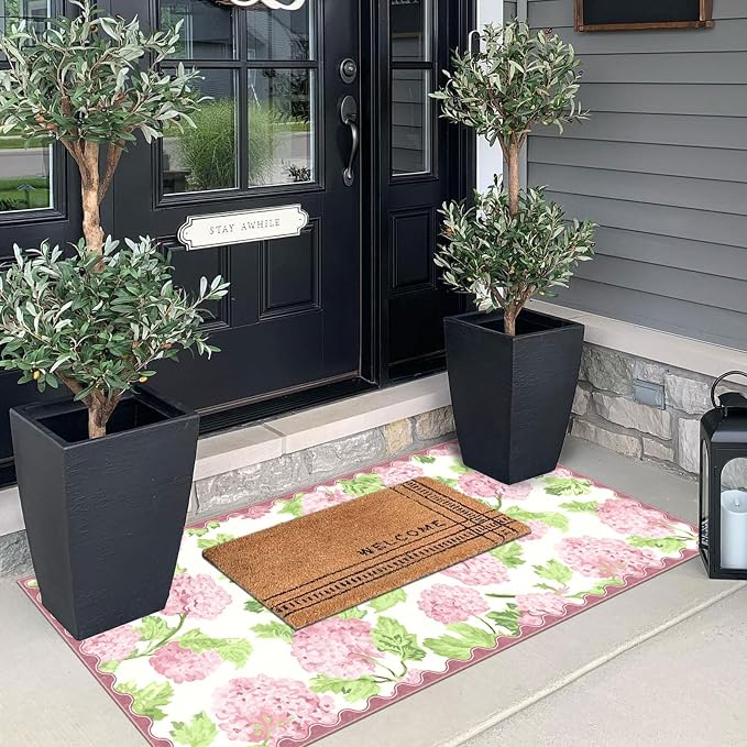 Front Door Mat Indoor Entrance