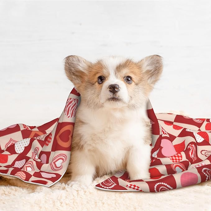 Pink Red Throw Blanket - Hearts Blanket for Dog Cat Pet Blankets 23x16 for Couch Sofa Bed